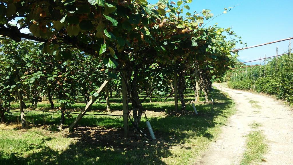 Agriturismo B&B Corte Tonolli Valeggio sul Mincio Luaran gambar