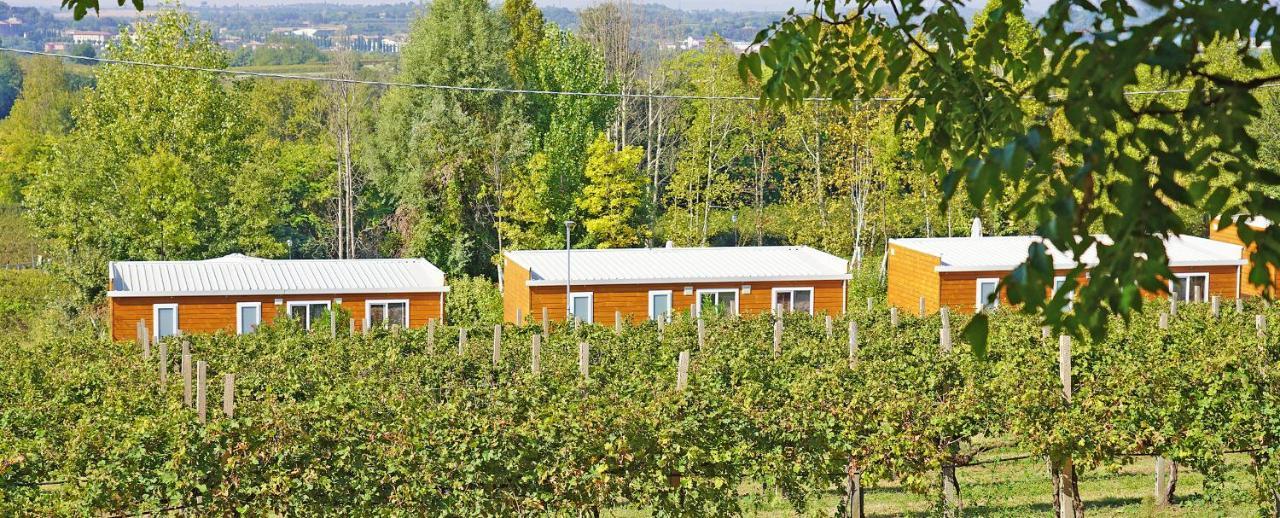 Agriturismo B&B Corte Tonolli Valeggio sul Mincio Luaran gambar